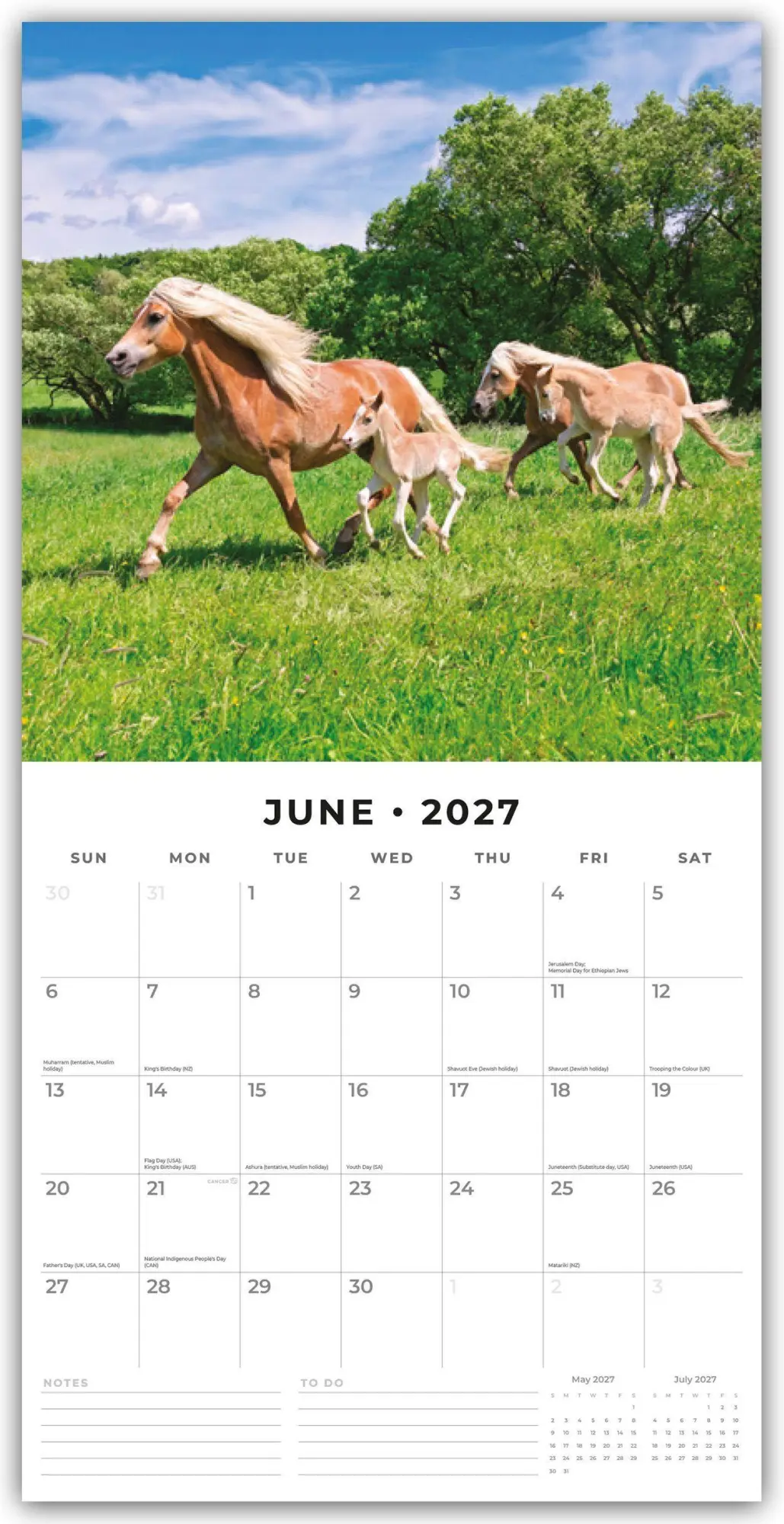 Bild: 9781837011087 | Horses - Pferde 2027 - 16-Monatskalender | Robin Red | Kalender | 2027