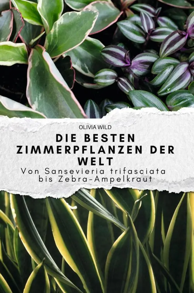 Cover: 9783759151087 | Die besten Zimmerpflanzen der Welt | Olivia Wild | Taschenbuch | 80 S.
