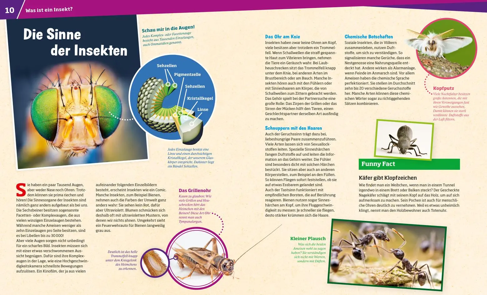Bild: 9783788621087 | WAS IST WAS Band 30 Insekten. Überlebenskünstler auf sechs Beinen
