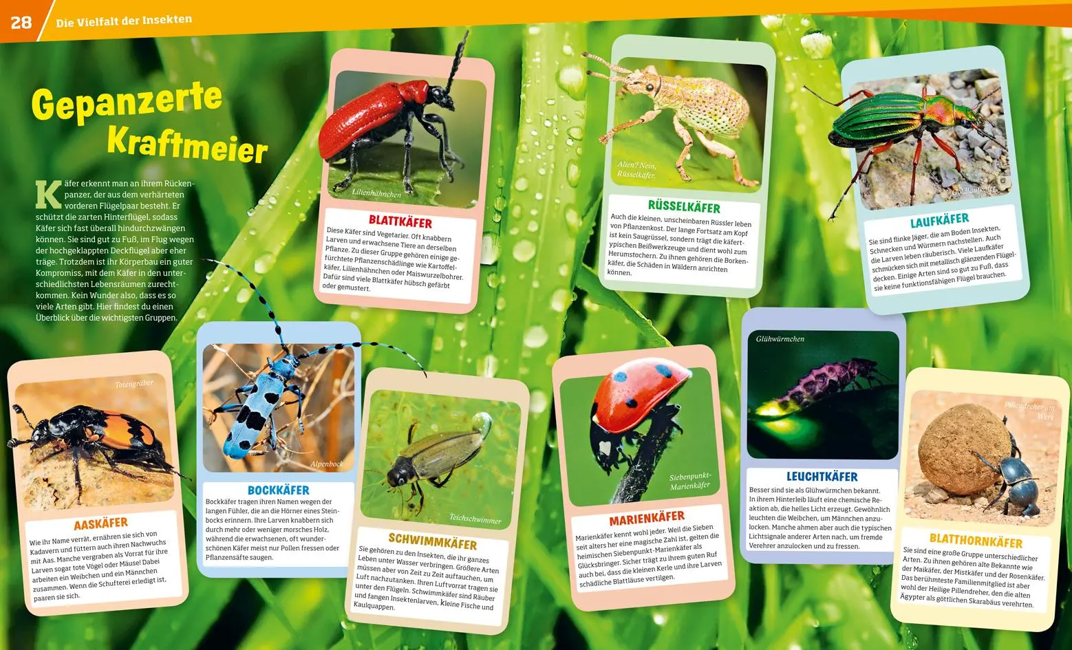 Bild: 9783788621087 | WAS IST WAS Band 30 Insekten. Überlebenskünstler auf sechs Beinen