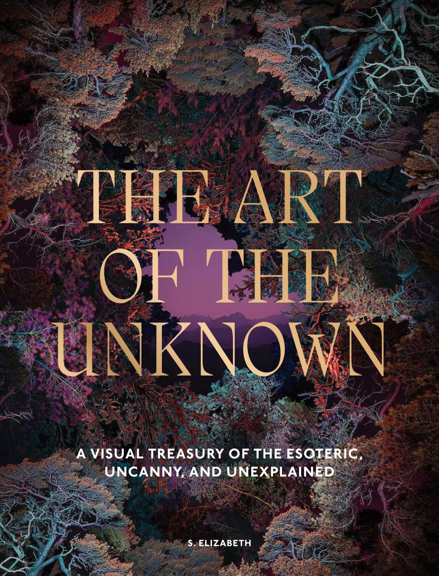Cover: 9781805701187 | The Art of the Unknown | Elizabeth S. | Buch | Englisch | 2026