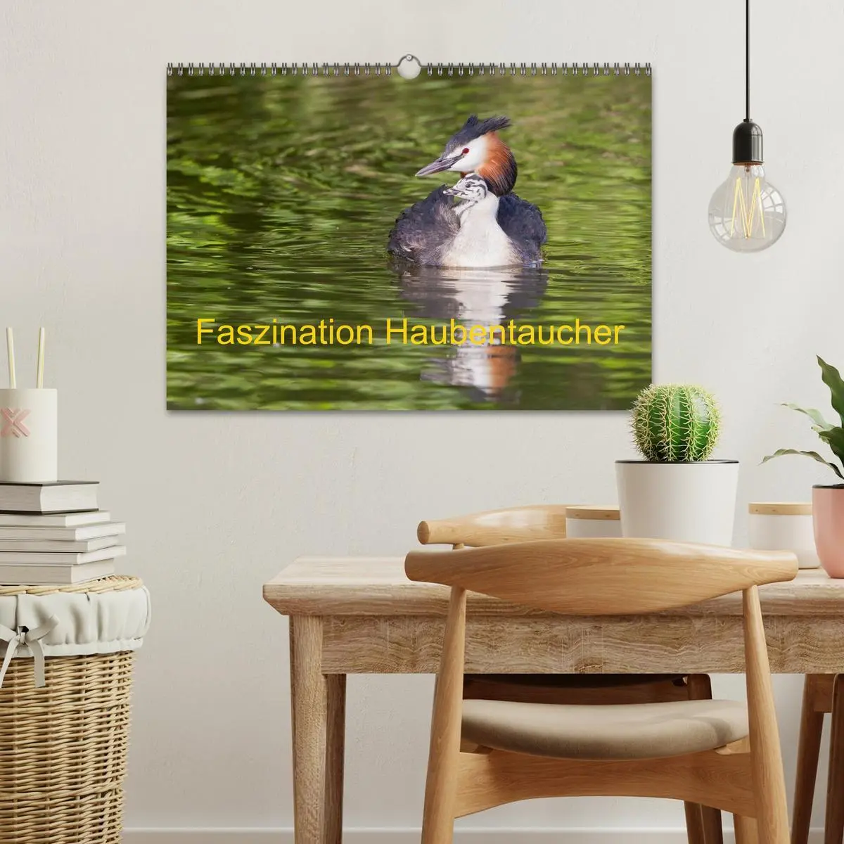 Bild: 9783457951187 | Faszination Haubentaucher (Wandkalender 2026 DIN A3 quer), CALVENDO...