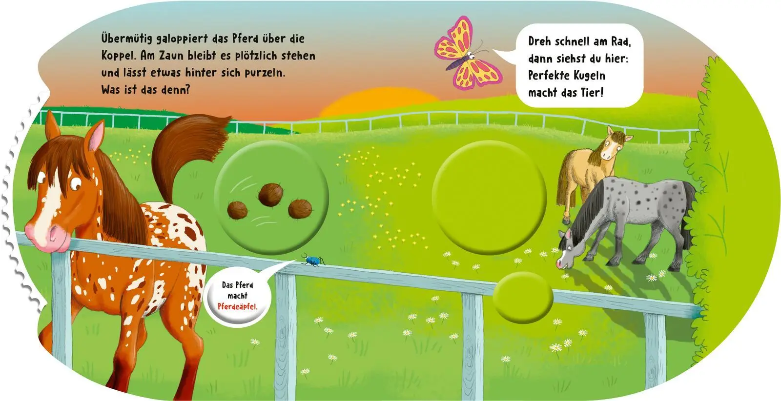 Bild: 9783480241187 | Dreh das Rad und find´s heraus!: Welches Tier macht Kacka hier? | Kiel