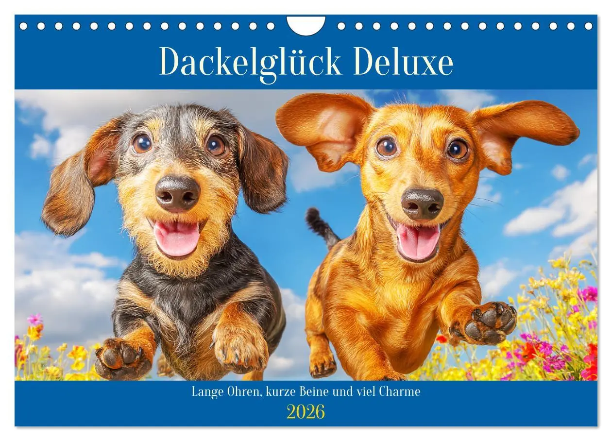 Cover: 9783516421187 | Dackelglück Deluxe. Lange Ohren, kurze Beine und viel Charme...