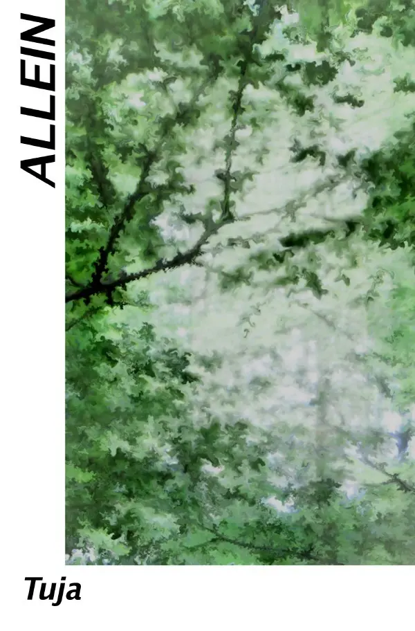 Cover: 9783750201187 | Allein | Tuja Tiira | Taschenbuch | 96 S. | Deutsch | 2019 | epubli