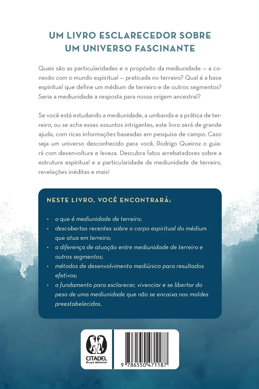 Rückseite: 9786550471187 | Mediunidade na umbanda | Rodrigo Queiroz | Taschenbuch | Portugiesisch