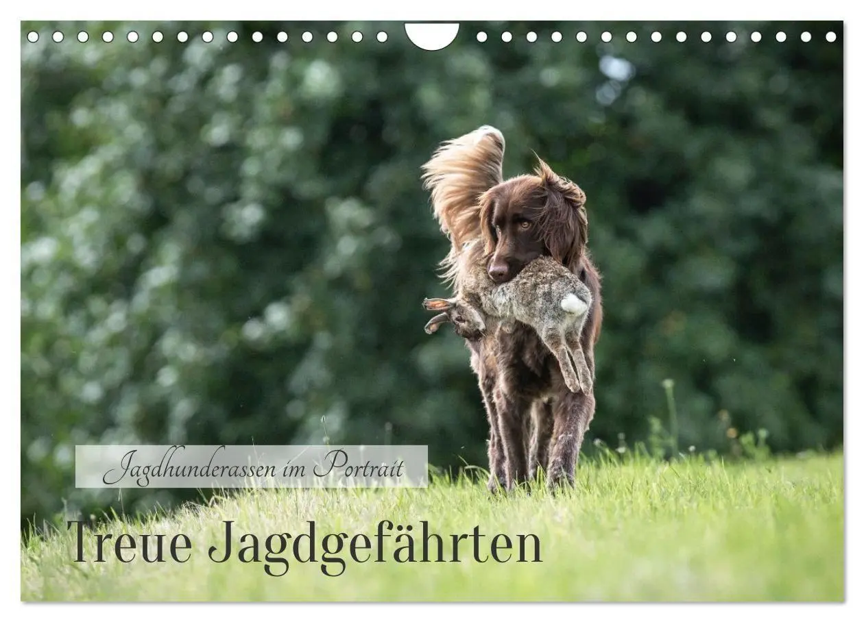 Cover: 9783457321287 | Treue Jagdgefährten - Jagdhunderassen im Portrait (Wandkalender...