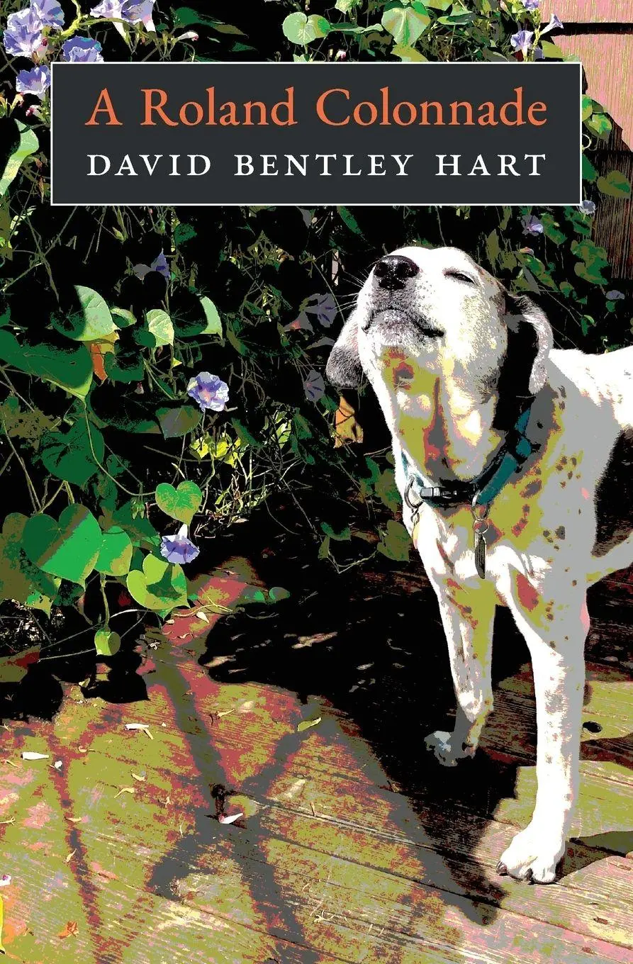Cover: 9798892801287 | A Roland Colonnade | David Bentley Hart (u. a.) | Taschenbuch | 2025