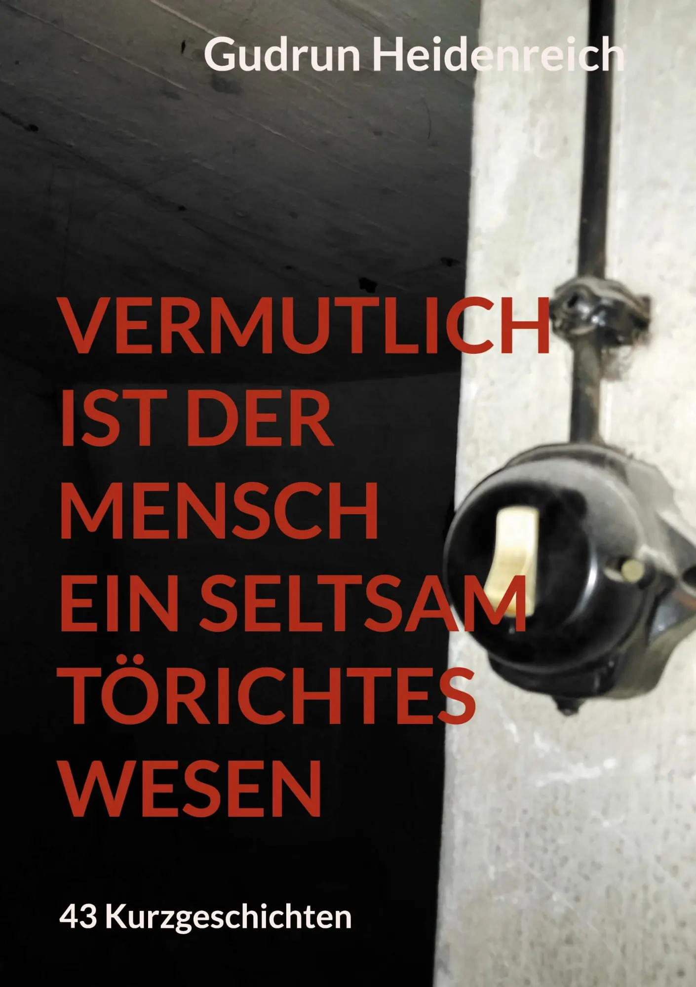 Cover: 9783819201387 | Vermutlich ist der Mensch ein seltsam törichtes Wesen | Heidenreich