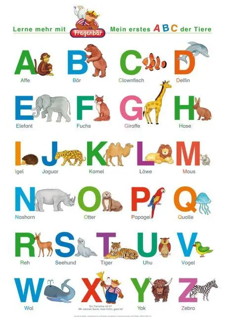 Bild: 9783940811387 | Fragenbär-Lernposter: Mein erstes ABC der Tiere (in der...