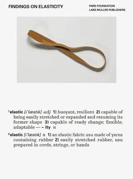 Cover: 9783037781487 | Findings on Elasticity | Pars Pars Foundation | Taschenbuch | 208 S.