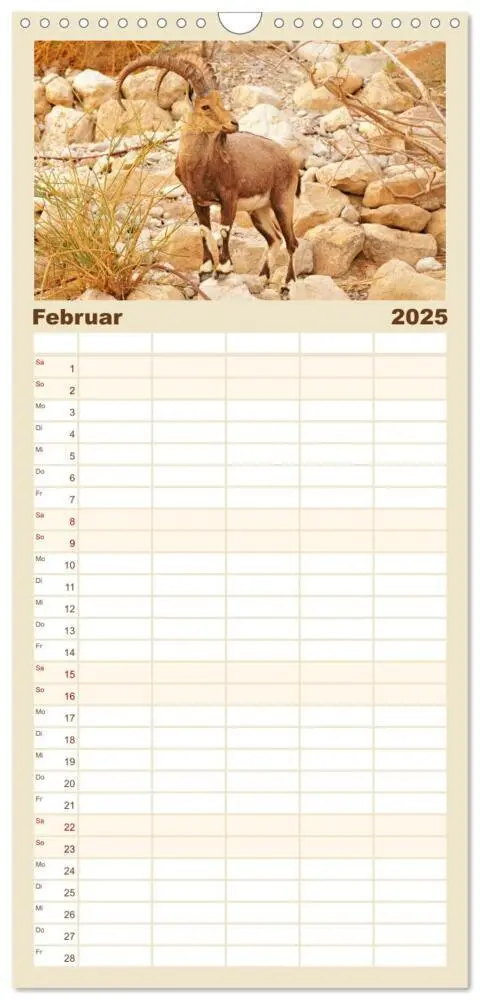 Bild: 9783457091487 | Familienplaner 2025 - Zwischen Tradition und Moderne: Israel mit 5...