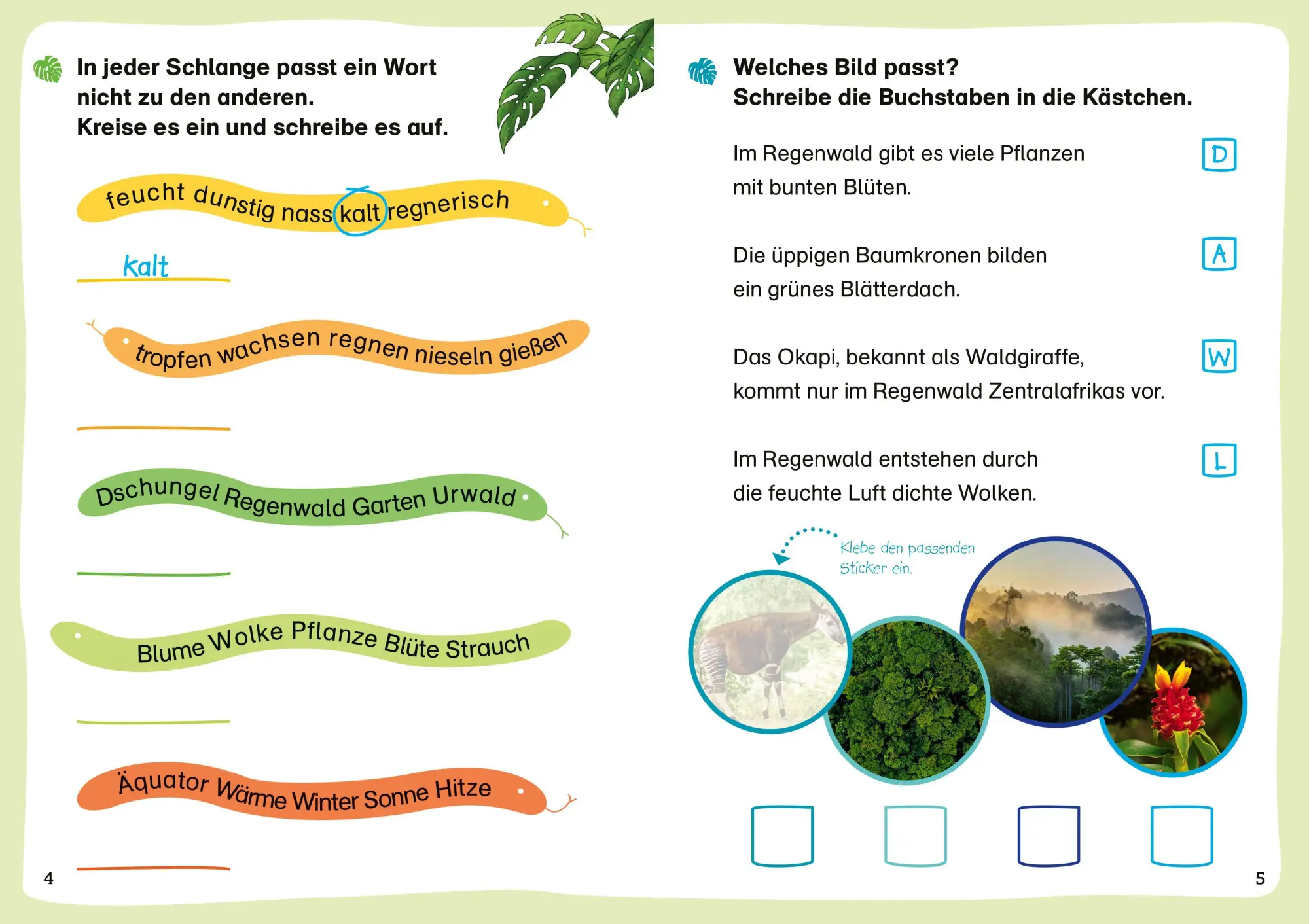 Bild: 9783788681487 | WAS IST WAS Erstes Lesen. Leserätsel Regenwald | Waltraud Grill | 2026