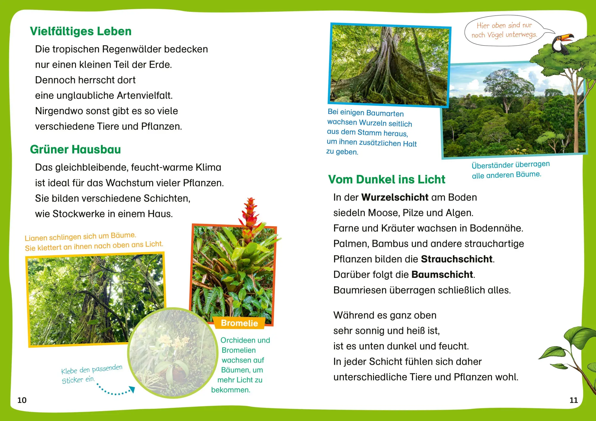 Bild: 9783788681487 | WAS IST WAS Erstes Lesen. Leserätsel Regenwald | Waltraud Grill | 2026