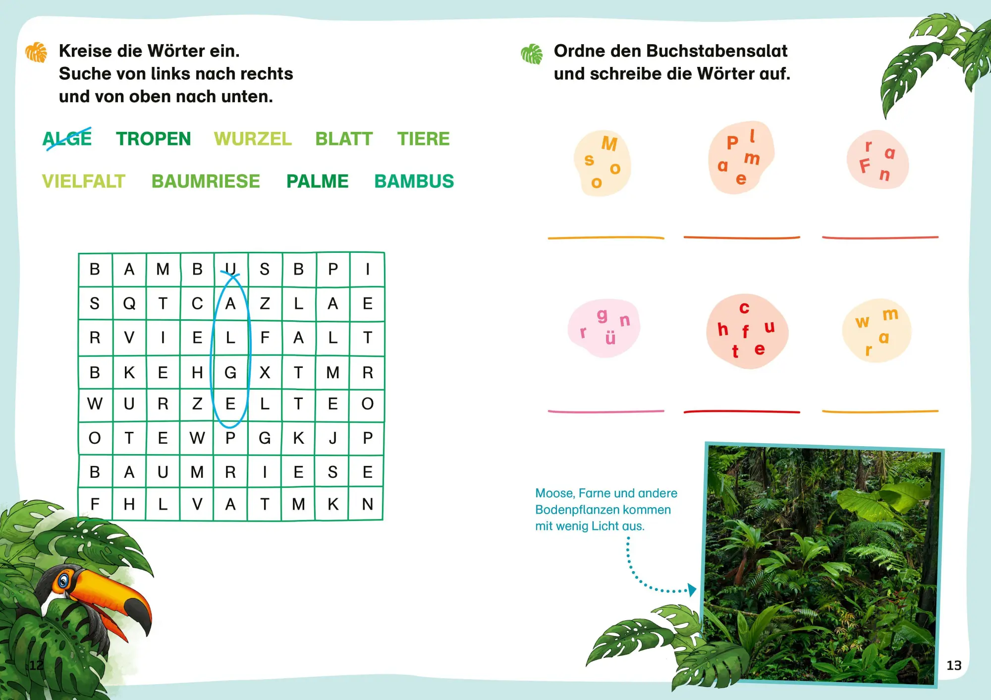 Bild: 9783788681487 | WAS IST WAS Erstes Lesen. Leserätsel Regenwald | Waltraud Grill | 2026
