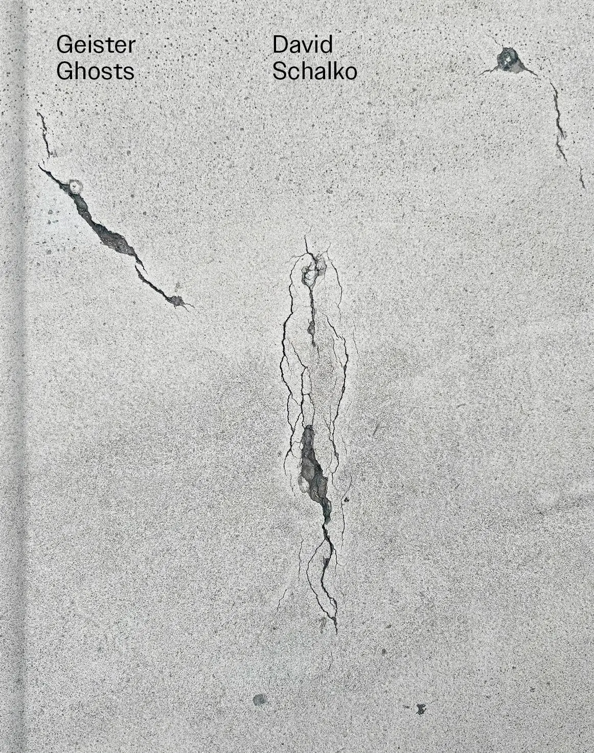Cover: 9783991531487 | Geister Ghosts | David Schalko | Buch | 144 S. | Deutsch | 2024 | VfmK
