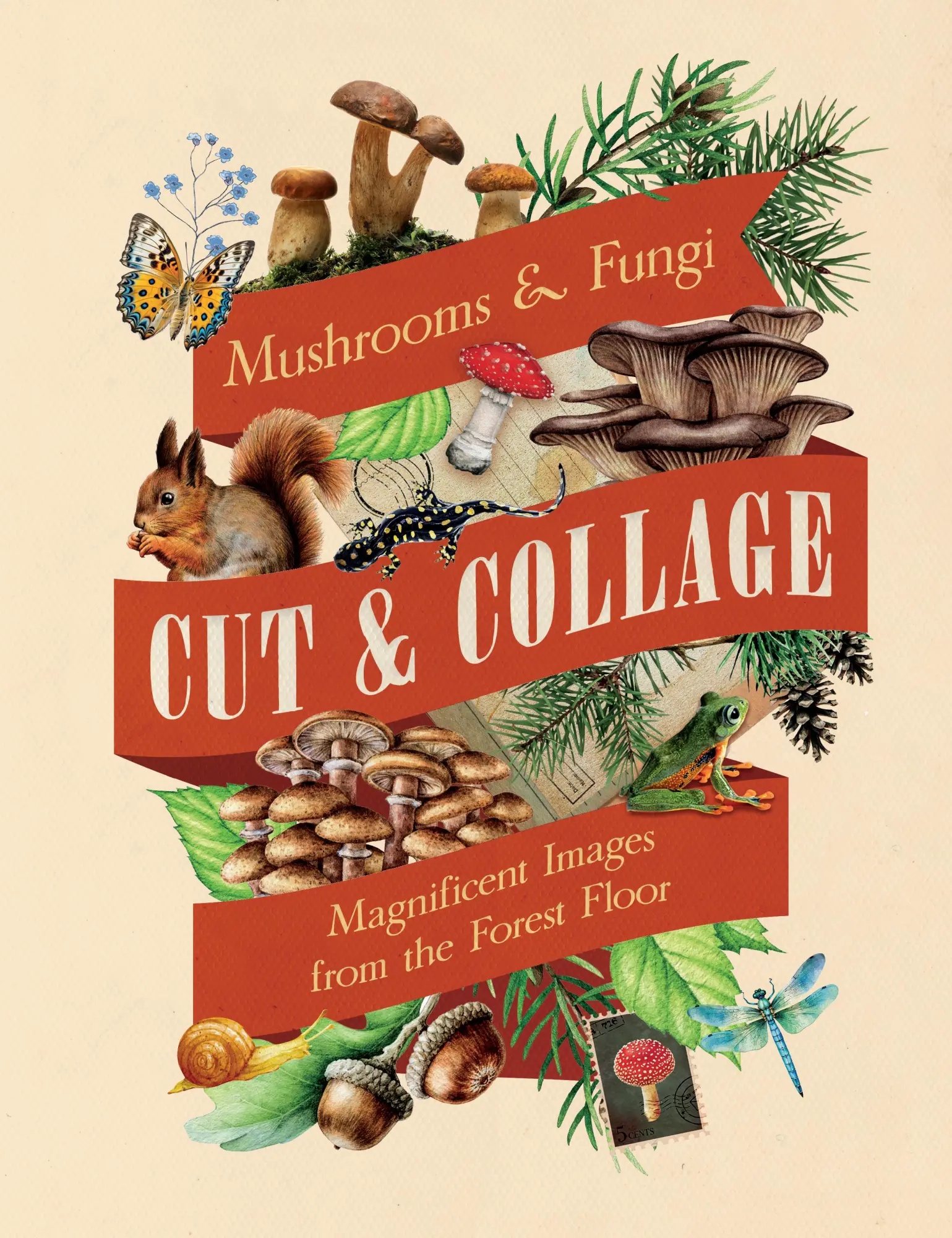 Cover: 9798887621487 | Cut &amp; Collage Mushrooms and Fungi | Earth Aware Editions | Buch | 2025