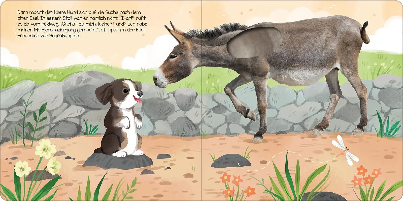 Bild: 9783845851587 | Hör mal, kleiner Hund! | Streicheln und Hören | Kathryn Selbert | Buch