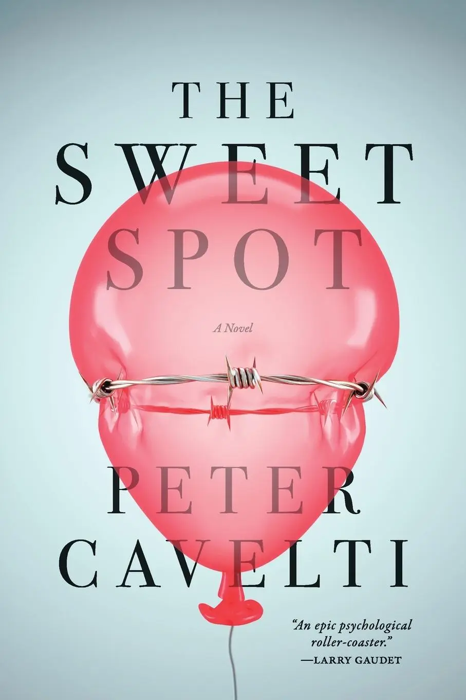 Cover: 9781778031687 | The Sweet Spot | A Novel | Peter C. Cavelti | Taschenbuch | Englisch