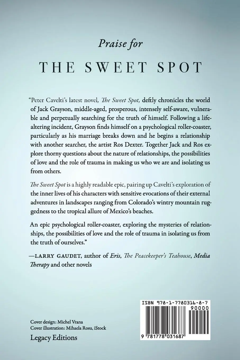 Rückseite: 9781778031687 | The Sweet Spot | A Novel | Peter C. Cavelti | Taschenbuch | Englisch