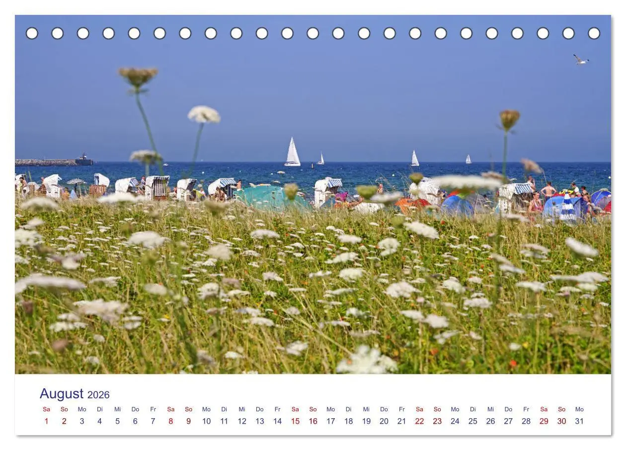 Bild: 9783457901687 | Radtouren ab Eckernförde (Tischkalender 2026 DIN A5 quer), CALVENDO...
