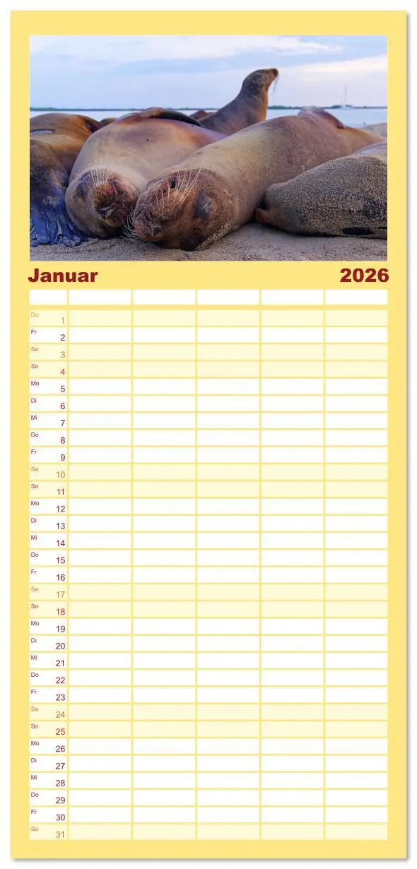 Bild: 9783516611687 | Familienplaner 2026 - Entdecke Galapagos mit 5 Spalten...