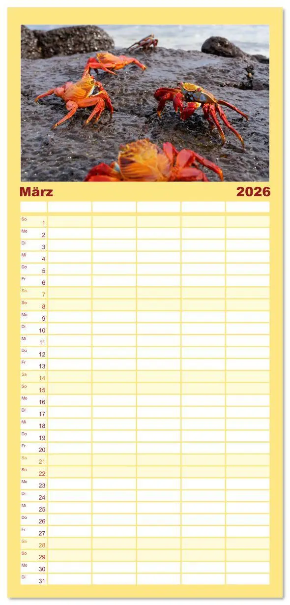 Bild: 9783516611687 | Familienplaner 2026 - Entdecke Galapagos mit 5 Spalten...