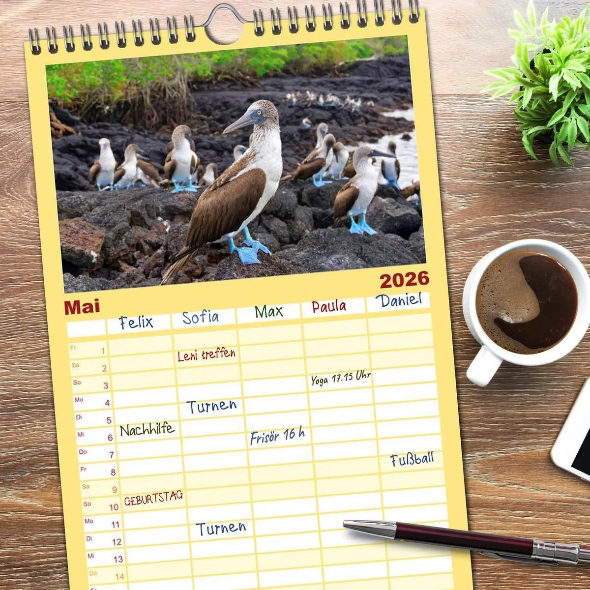 Bild: 9783516611687 | Familienplaner 2026 - Entdecke Galapagos mit 5 Spalten...