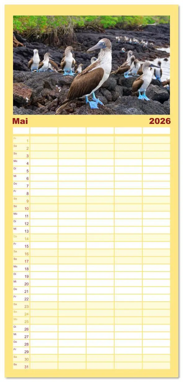 Bild: 9783516611687 | Familienplaner 2026 - Entdecke Galapagos mit 5 Spalten...