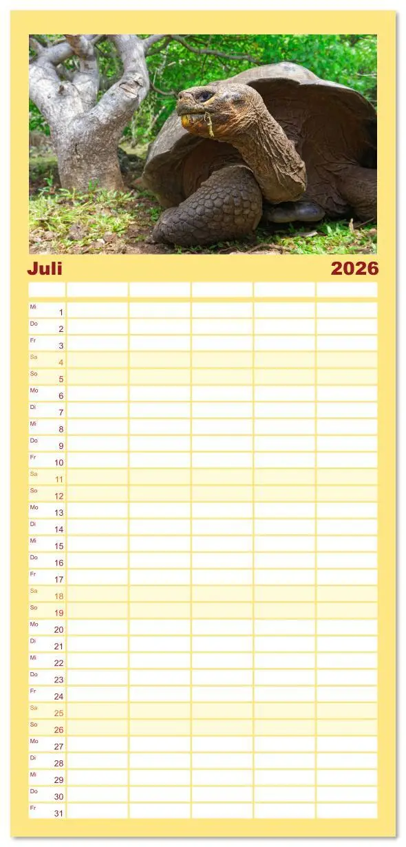 Bild: 9783516611687 | Familienplaner 2026 - Entdecke Galapagos mit 5 Spalten...