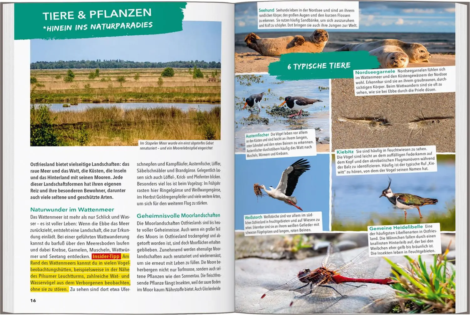 Bild: 9783575021687 | MARCO POLO OUTDOOR GUIDE Reiseführer Ostfriesland &amp; Ostfriesische...