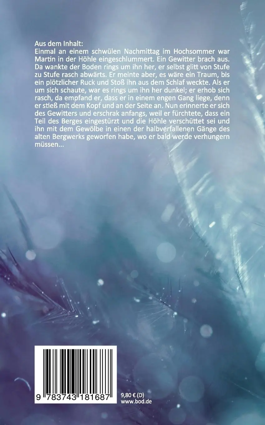 Rückseite: 9783743181687 | Märchen | von Luise Pichler | Luise Pichler | Taschenbuch | 100 S.