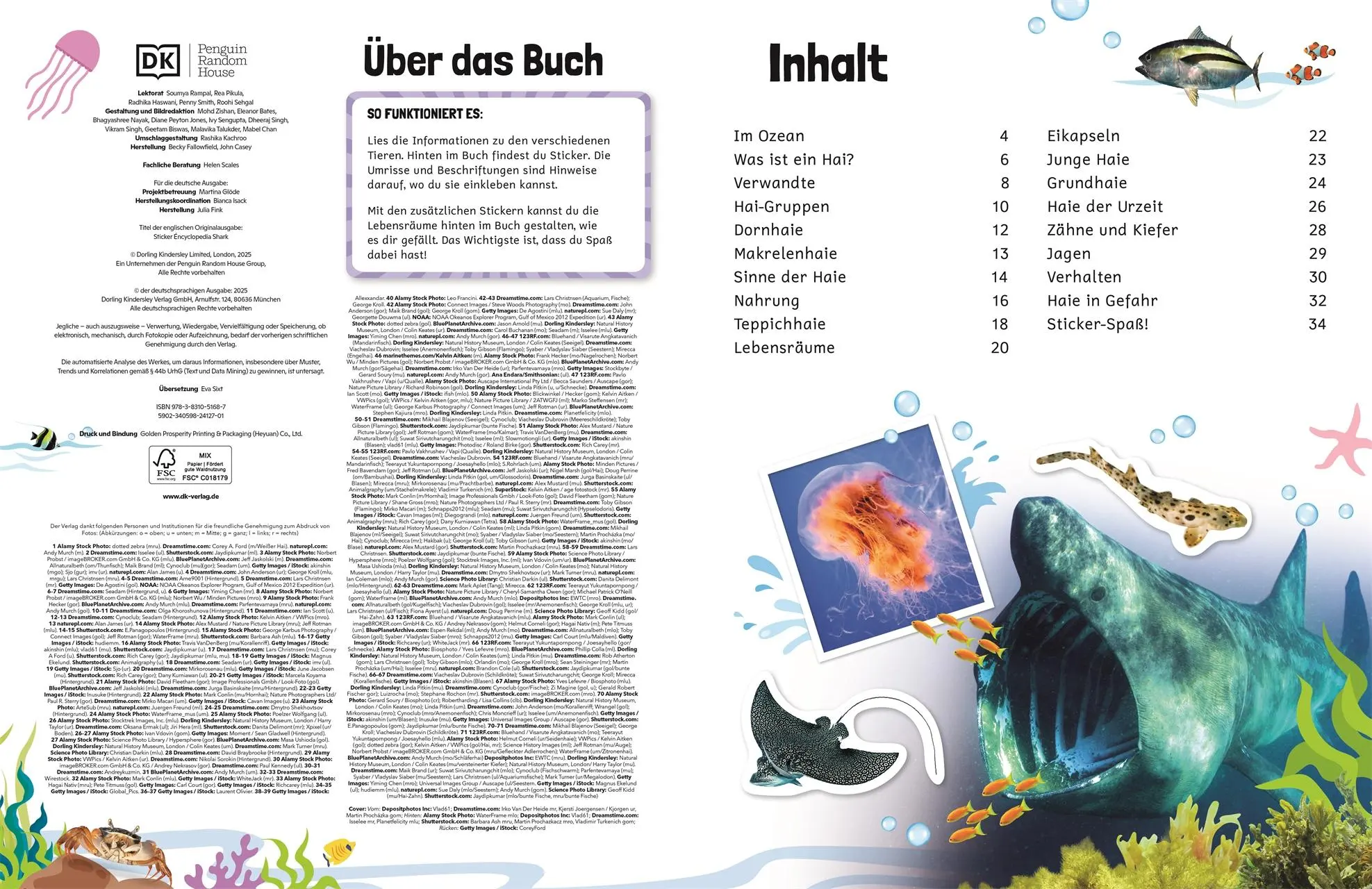 Bild: 9783831051687 | Sticker-Lexikon. Haie | DK Verlag - Kids | Taschenbuch | 72 S. | 2025