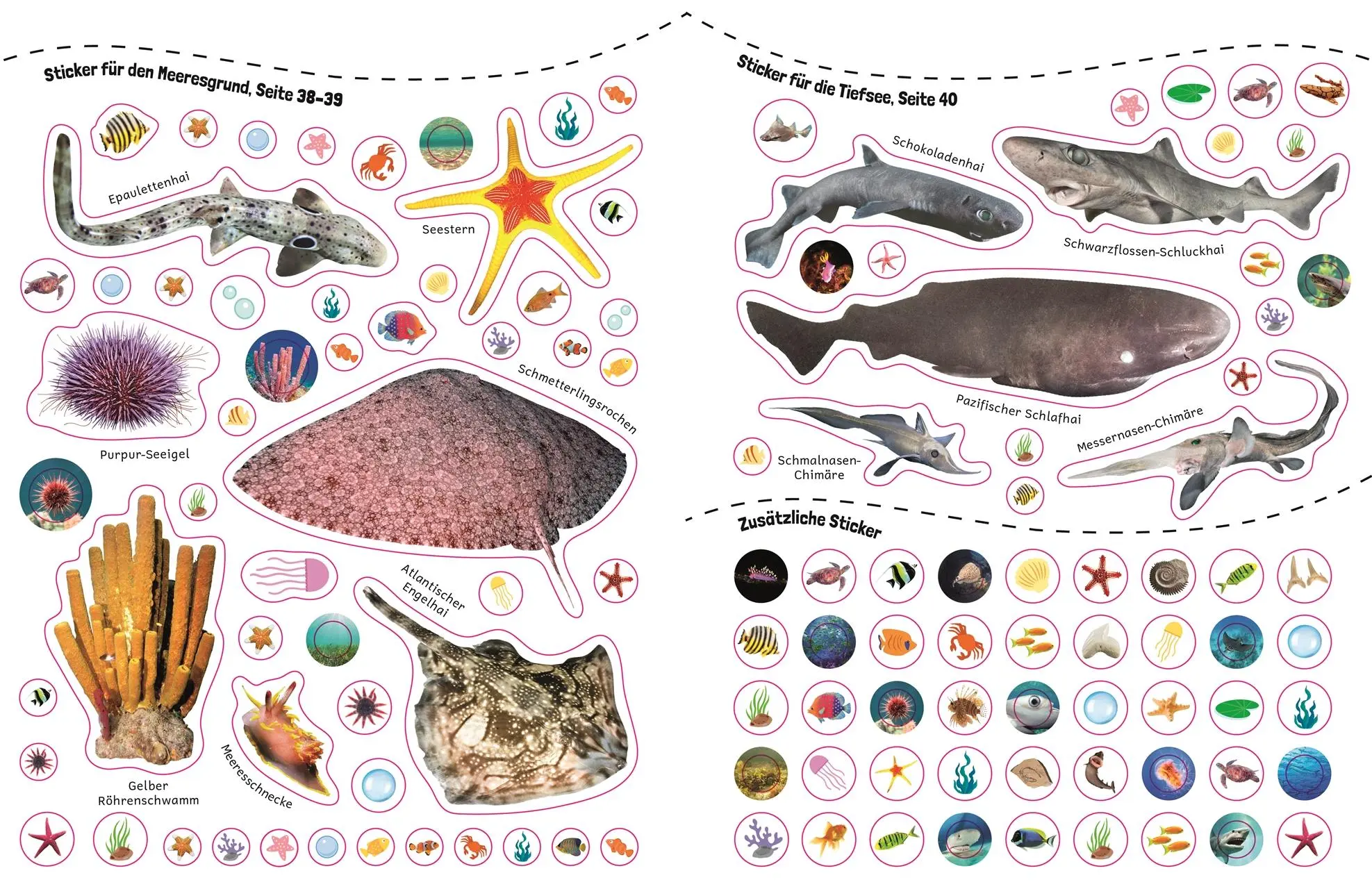 Bild: 9783831051687 | Sticker-Lexikon. Haie | DK Verlag - Kids | Taschenbuch | 72 S. | 2025