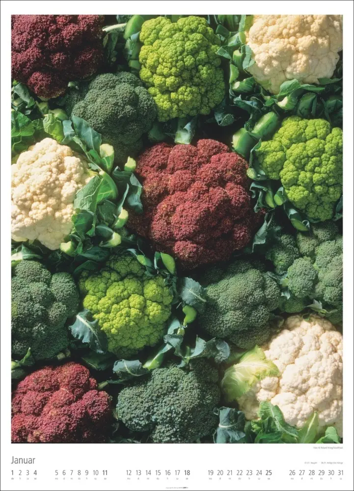 Bild: 9783839901687 | Food Gallery Kalender 2026 | Kalender | Spiralbindung | 14 S. | 2026