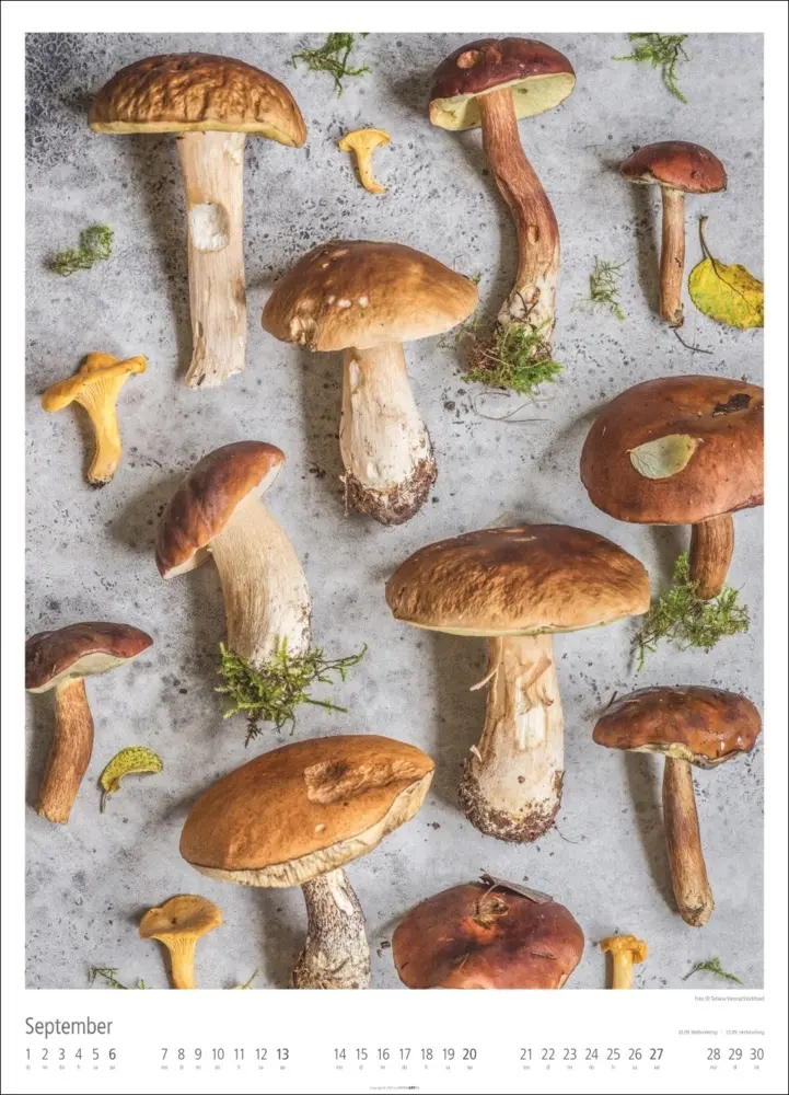 Bild: 9783839901687 | Food Gallery Kalender 2026 | Kalender | Spiralbindung | 14 S. | 2026
