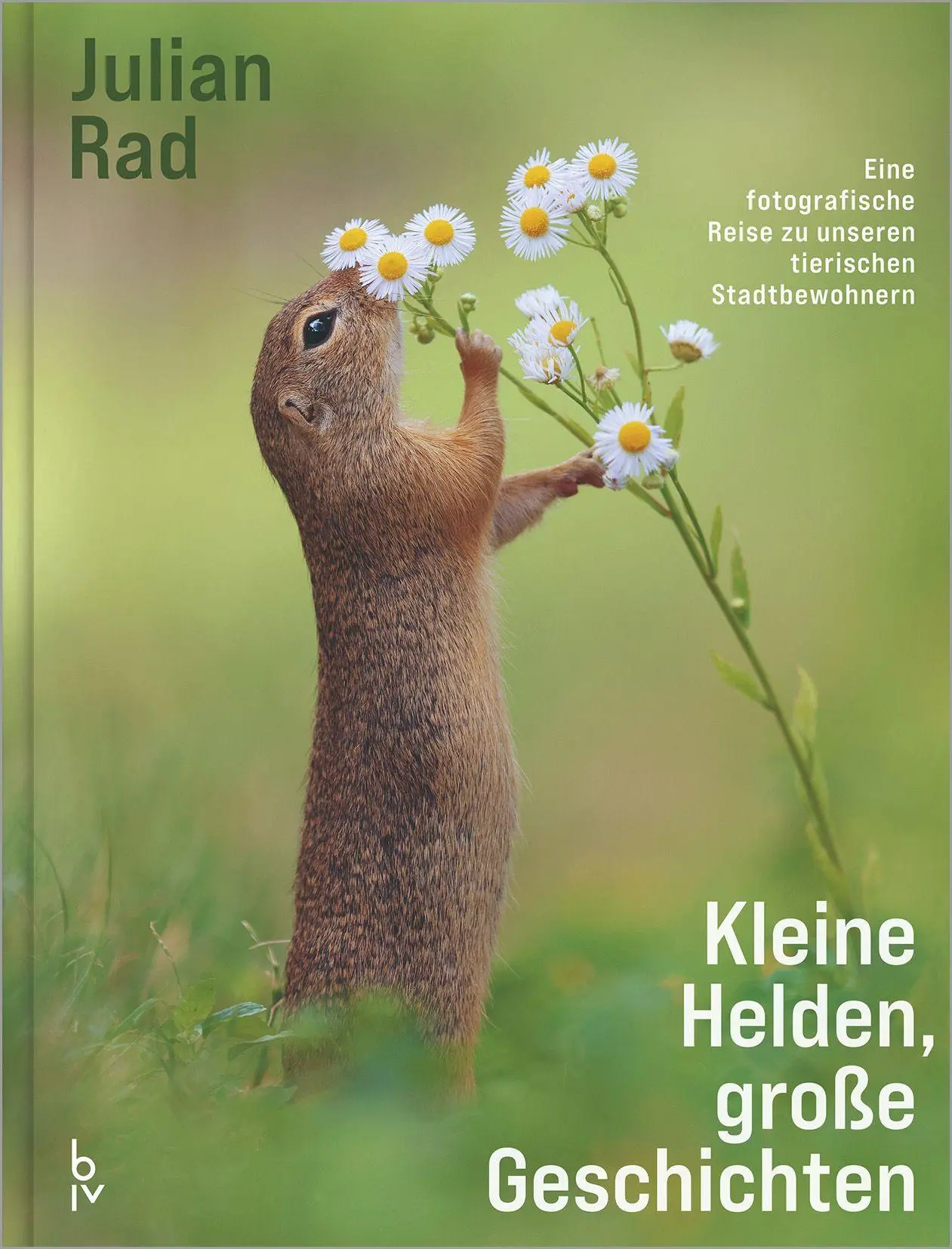Kleine Helden - große Geschichten