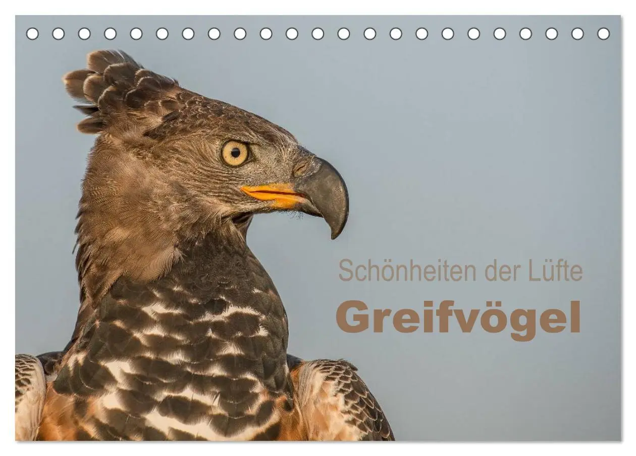 Cover: 9783516081787 | Schönheiten der Lüfte - Greifvögel (Tischkalender 2026 DIN A5...