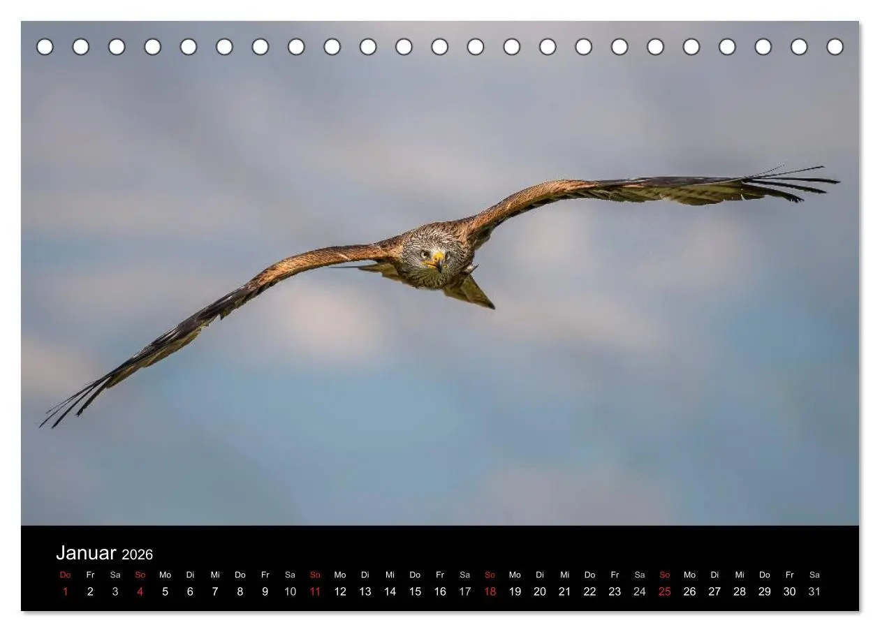 Bild: 9783516081787 | Schönheiten der Lüfte - Greifvögel (Tischkalender 2026 DIN A5...