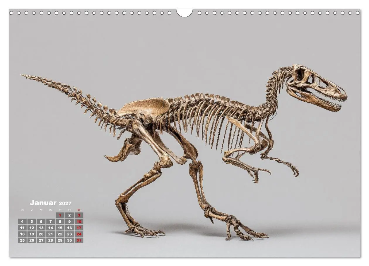 Bild: 9783516911787 | Knochen der Giganten - Dinosaurier im Porträt (Wandkalender 2027...