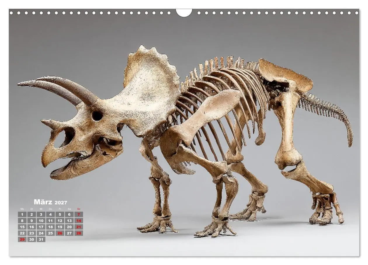 Bild: 9783516911787 | Knochen der Giganten - Dinosaurier im Porträt (Wandkalender 2027...