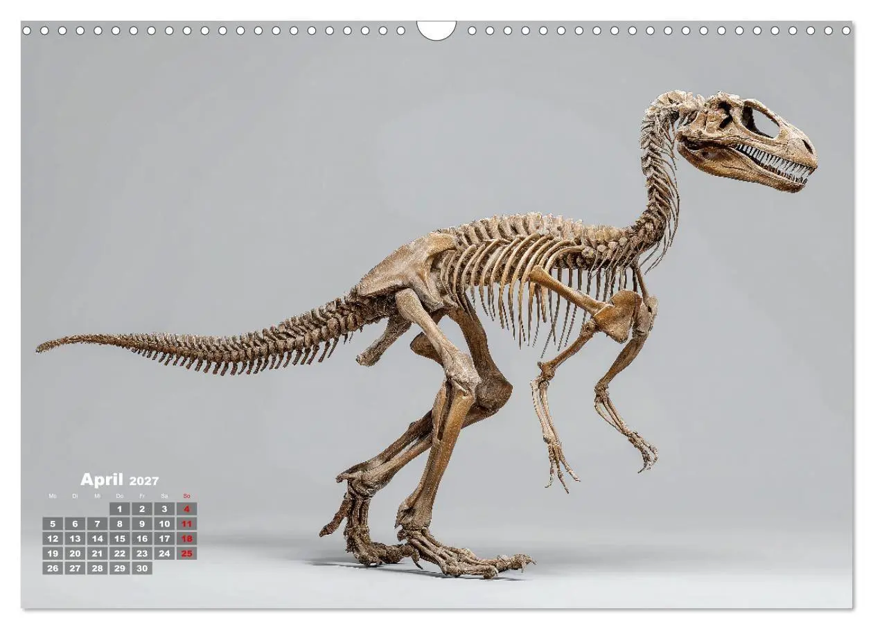 Bild: 9783516911787 | Knochen der Giganten - Dinosaurier im Porträt (Wandkalender 2027...
