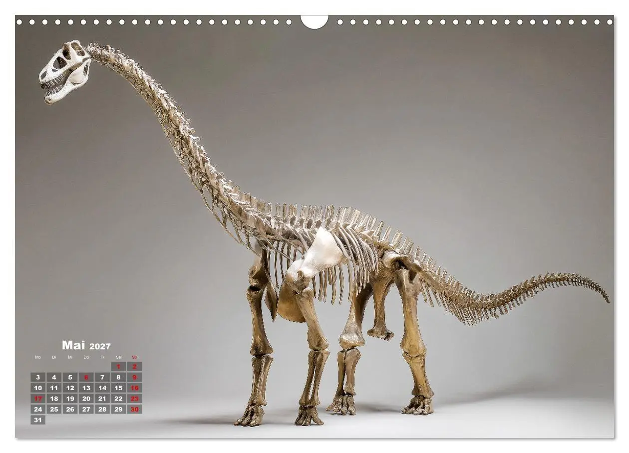 Bild: 9783516911787 | Knochen der Giganten - Dinosaurier im Porträt (Wandkalender 2027...