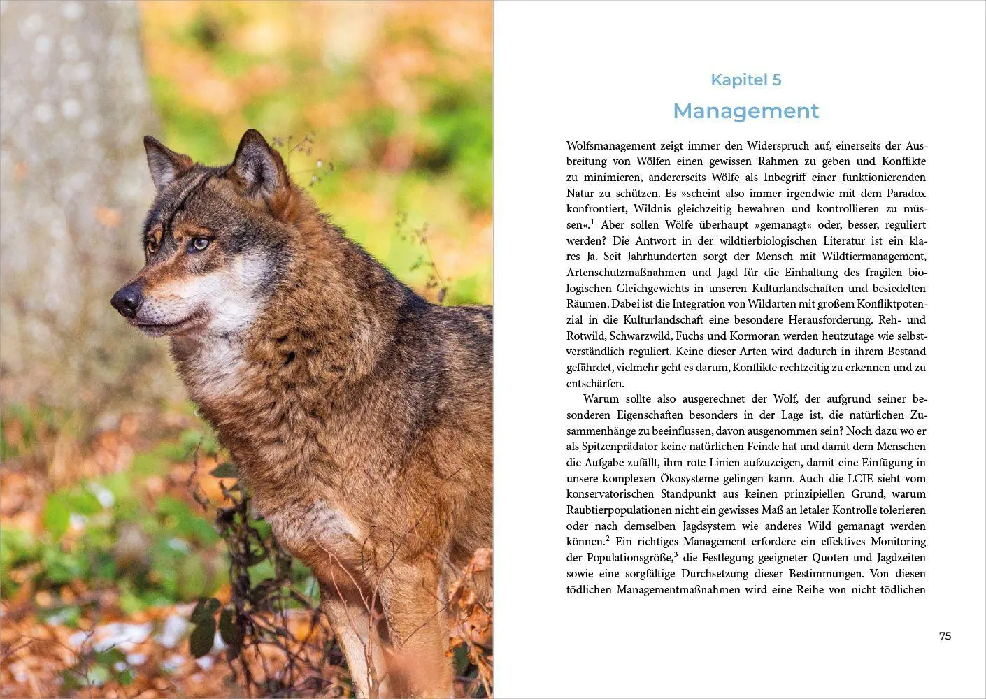 Bild: 9783987261787 | Leben mit dem Wolf | Anleitung für ein Wolfsmanagement in Europa