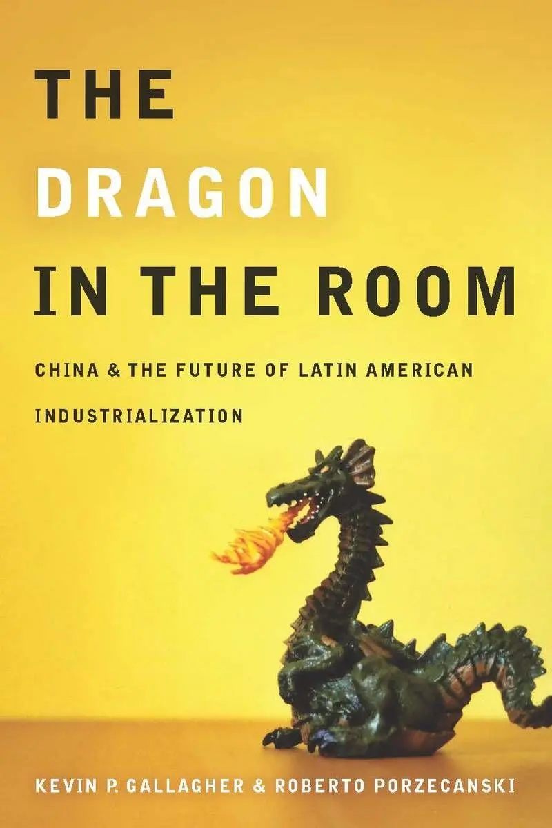Cover: 9780804771887 | The Dragon in the Room | Kevin Gallagher (u. a.) | Taschenbuch | 2010
