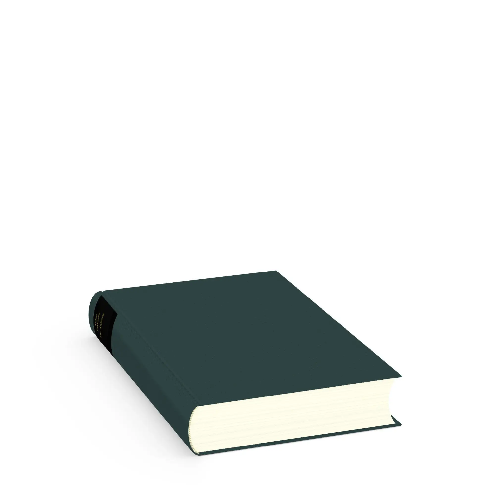 Bild: 9783257071887 | Der Aufgang | Stefan Hertmans | Buch | 480 S. | Deutsch | 2022
