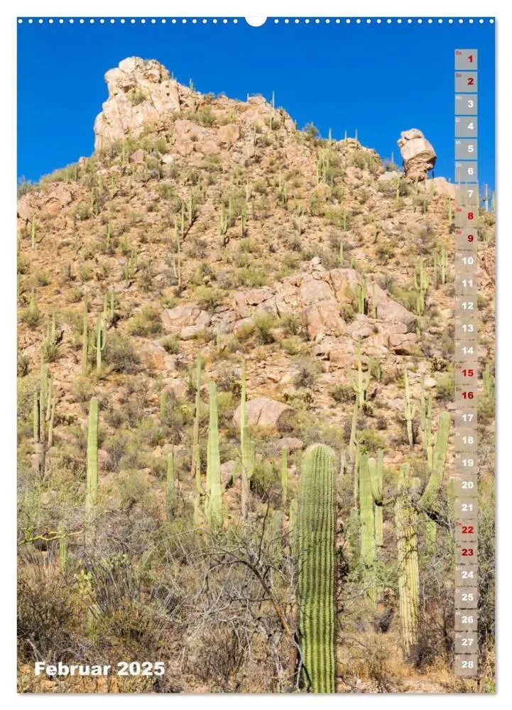 Bild: 9783435961887 | SAGUARO NATIONAL PARK Wüstenimpressionen aus Arizona (Wandkalender...