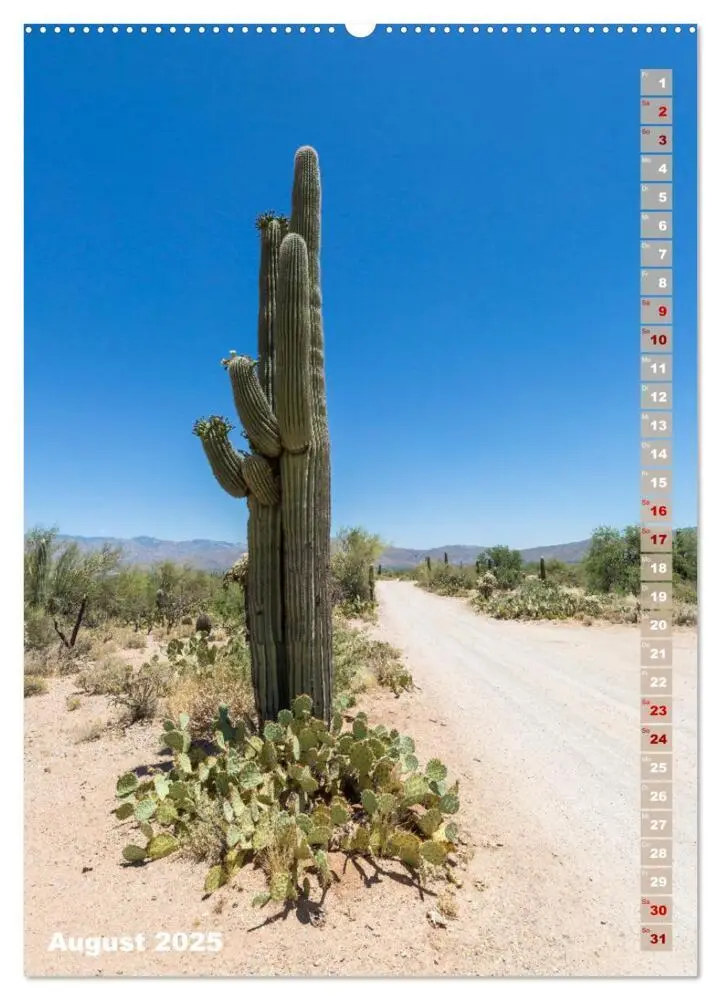 Bild: 9783435961887 | SAGUARO NATIONAL PARK Wüstenimpressionen aus Arizona (Wandkalender...