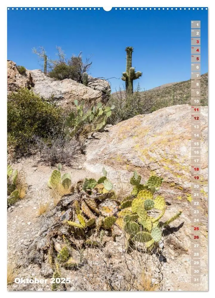 Bild: 9783435961887 | SAGUARO NATIONAL PARK Wüstenimpressionen aus Arizona (Wandkalender...