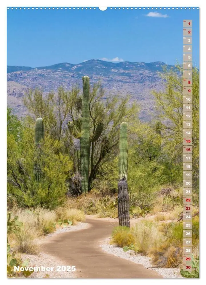 Bild: 9783435961887 | SAGUARO NATIONAL PARK Wüstenimpressionen aus Arizona (Wandkalender...